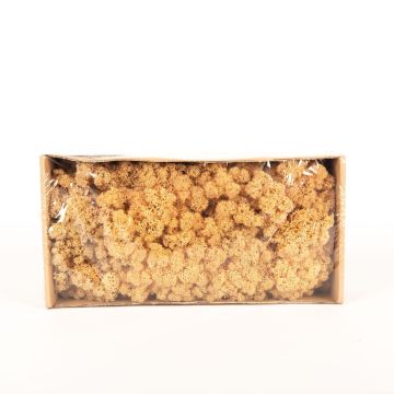 Auténtico musgo islandés SVEINBJÖRN, melocotón, 500g