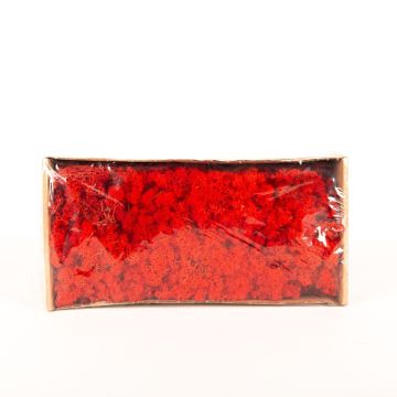 Auténtico musgo islandés SVEINBJÖRN, rojo, 500g