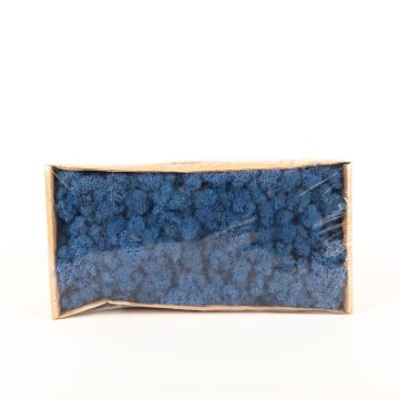 Auténtico musgo islandés SVEINBJÖRN, azul rey, 500g Auténtico musgo islandés SVEINBJÖRN, azul rey, 500g