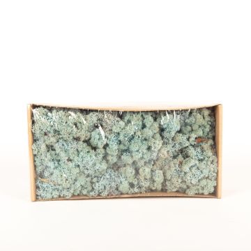 Auténtico musgo islandés SVEINBJÖRN, azul hielo, 500g Auténtico musgo islandés SVEINBJÖRN, azul hielo, 500g