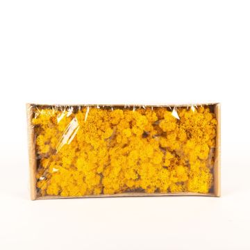 Auténtico musgo islandés SVEINBJÖRN, amarillo ocre, 500g Auténtico musgo islandés SVEINBJÖRN, amarillo ocre, 500g