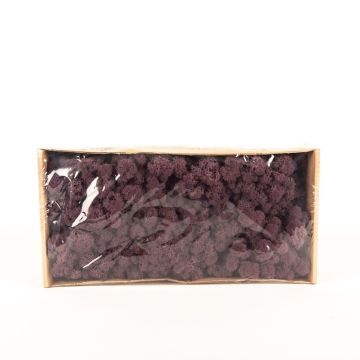 Auténtico musgo islandés SVEINBJÖRN, berenjena, 500g Auténtico musgo islandés SVEINBJÖRN, berenjena, 500g
