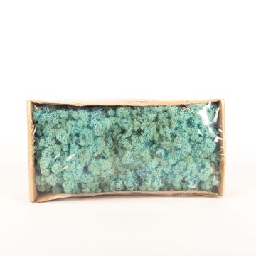 Auténtico musgo islandés SVEINBJÖRN, azul turquesa, 500g Auténtico musgo islandés SVEINBJÖRN, azul turquesa, 500g