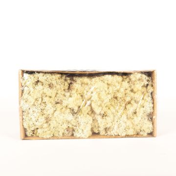 Auténtico musgo islandés SVEINBJÖRN, marfil, 500g Auténtico musgo islandés SVEINBJÖRN, marfil, 500g