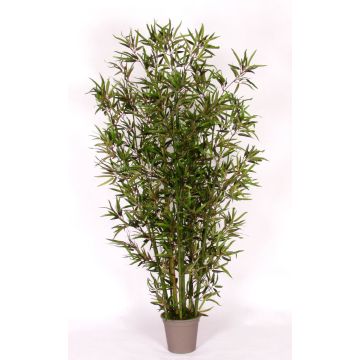 Bambú decorativo HILDEMARA, varas de bambú natural, crossdoor, 175 cm - Fabricado en Italia