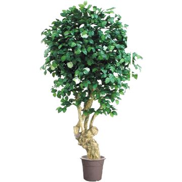Camelia decorativa JELENKINA, tronco natural, con flores, blanco, 200 cm - Fabricado en Italia