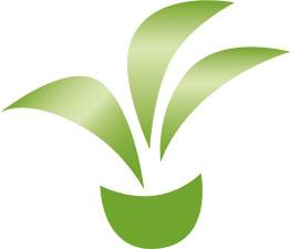 Protector UV BONO para plantas artificiales, transparente, 5 litros