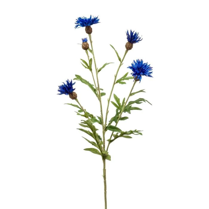 azul