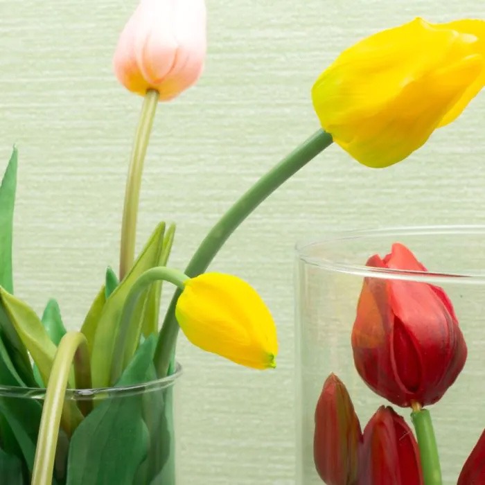 Flores de primavera