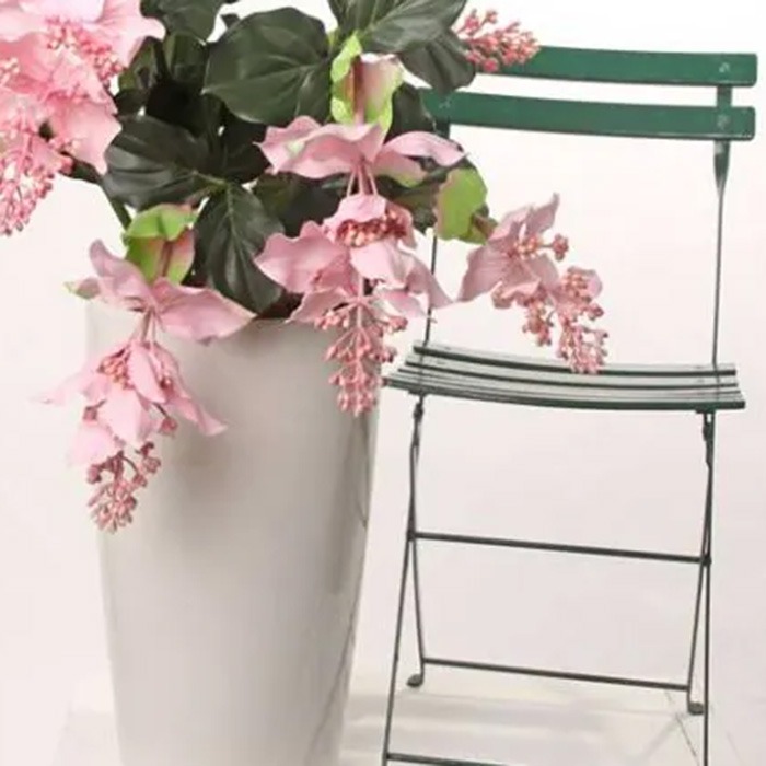 Flores colgantes