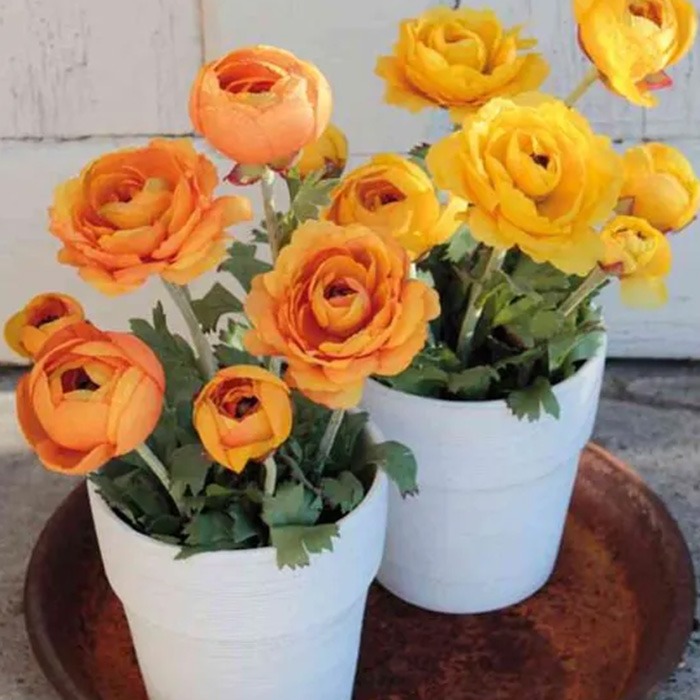 Flores en maceta