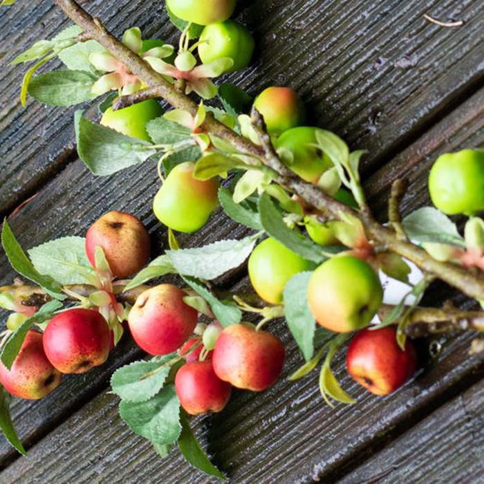 Frutas / Plantas A - Z