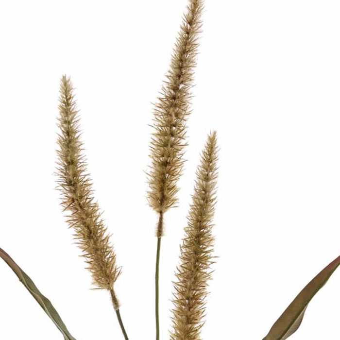 con pan&iacute;culas