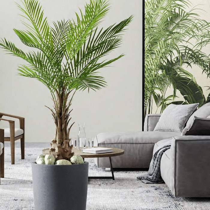 Plantas A - Z