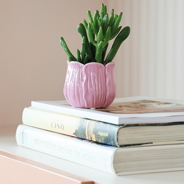 Plantas A - Z