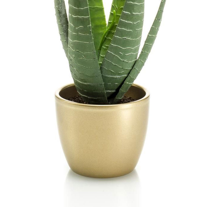 en maceta decorativa