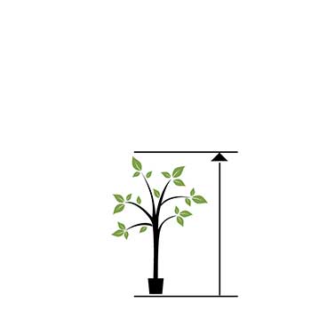 desde 100 hasta 149 cm