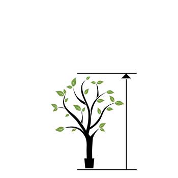 desde 150 hasta 179 cm