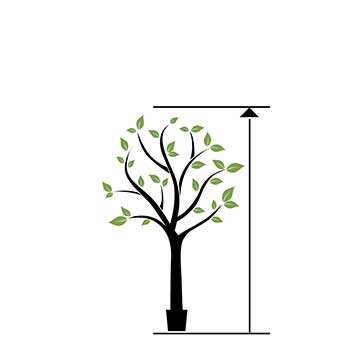 desde 180 hasta 199 cm