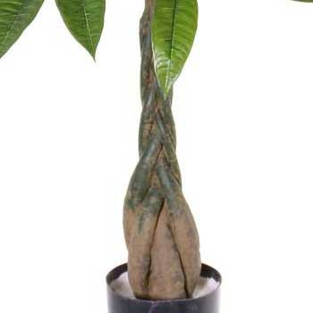 con tronco artificial