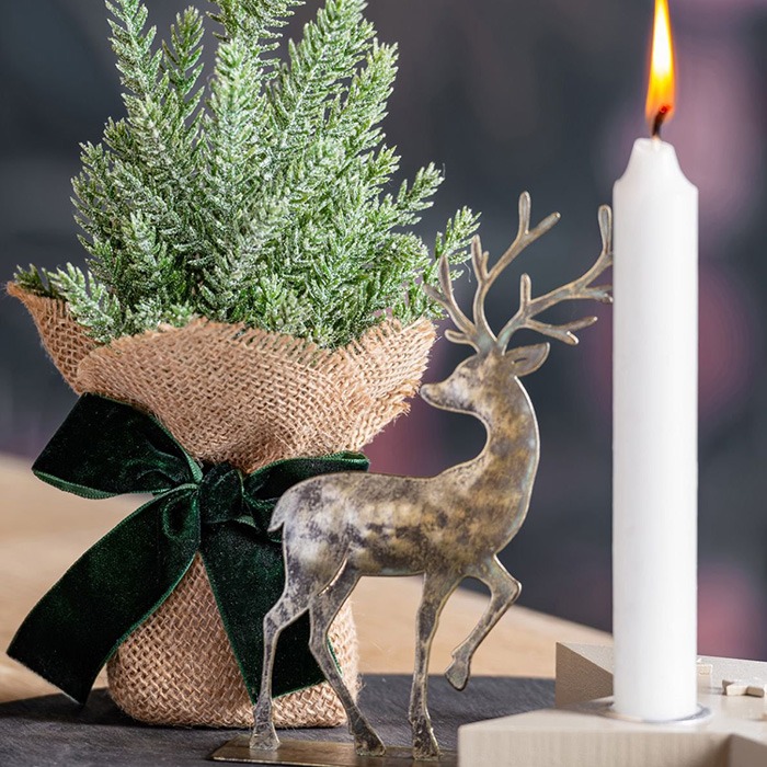 Velas de &aacute;rbol