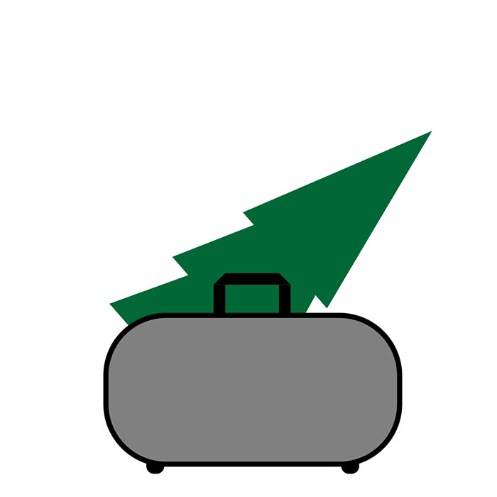 Bolsas