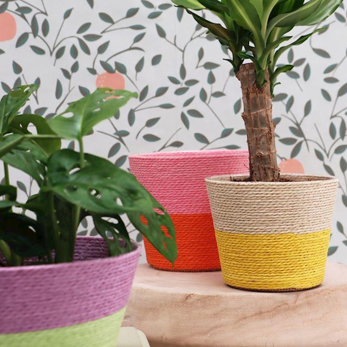 Macetas / Cestas