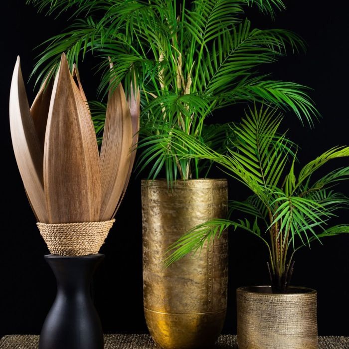 Belleza paradis&iacute;aca