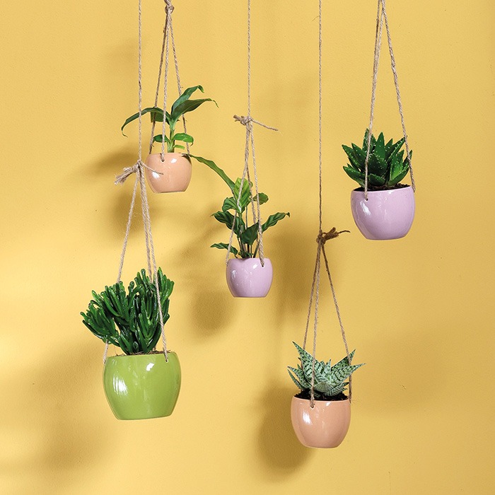 Macetas seg&uacute;n su funci&oacute;n