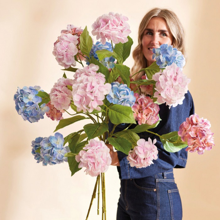 Hortensias en oferta