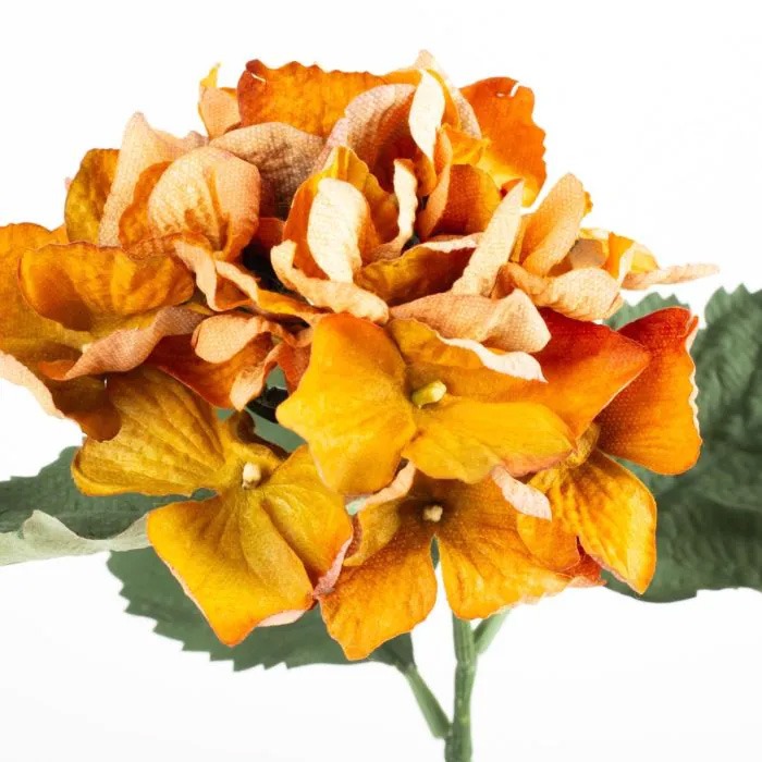 Hortensias naranjas
