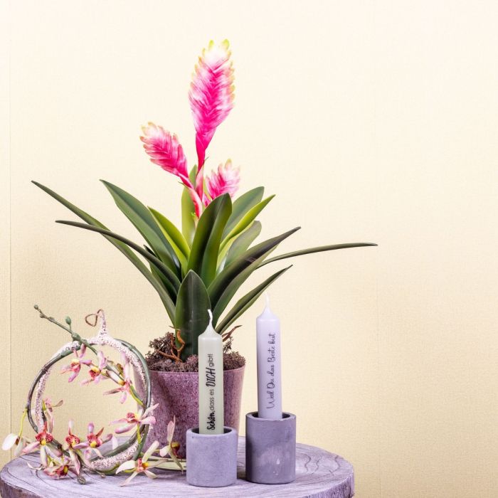 Me alegro de que existas