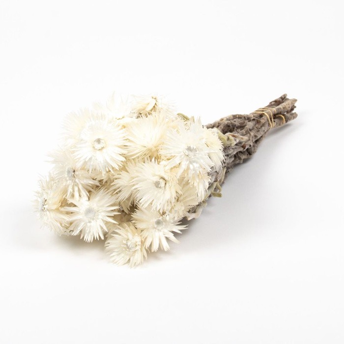 Ramos de flores secas