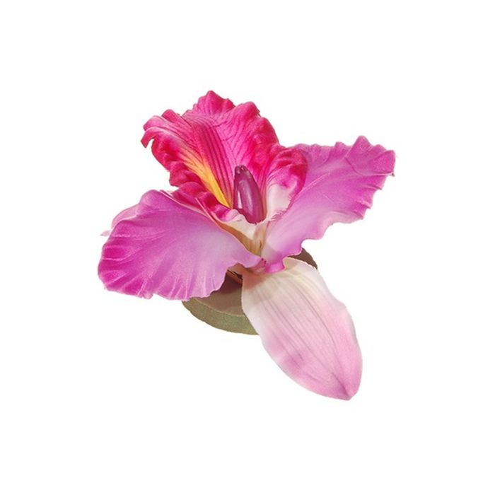 Flores y pétalos