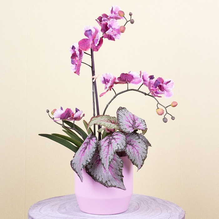 Flores