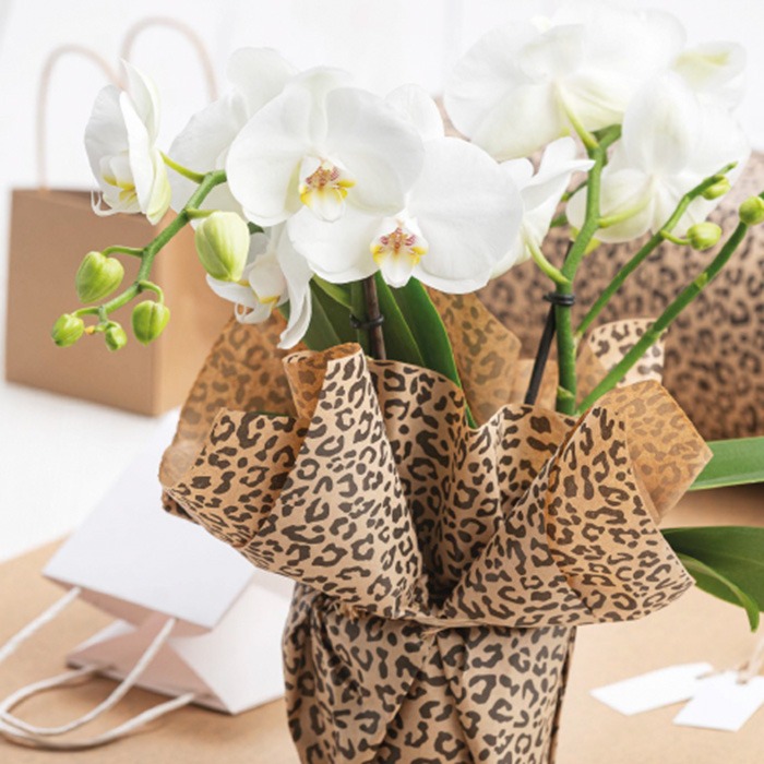 Arreglos florales