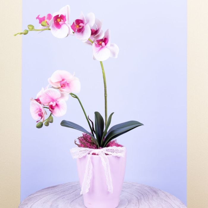 Decoración con orquídeas