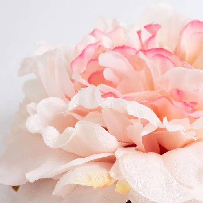 Cabezas de flores