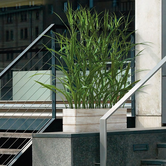 Plantas como separadores