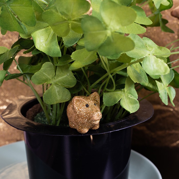 Plantas de la suerte para fin de año
