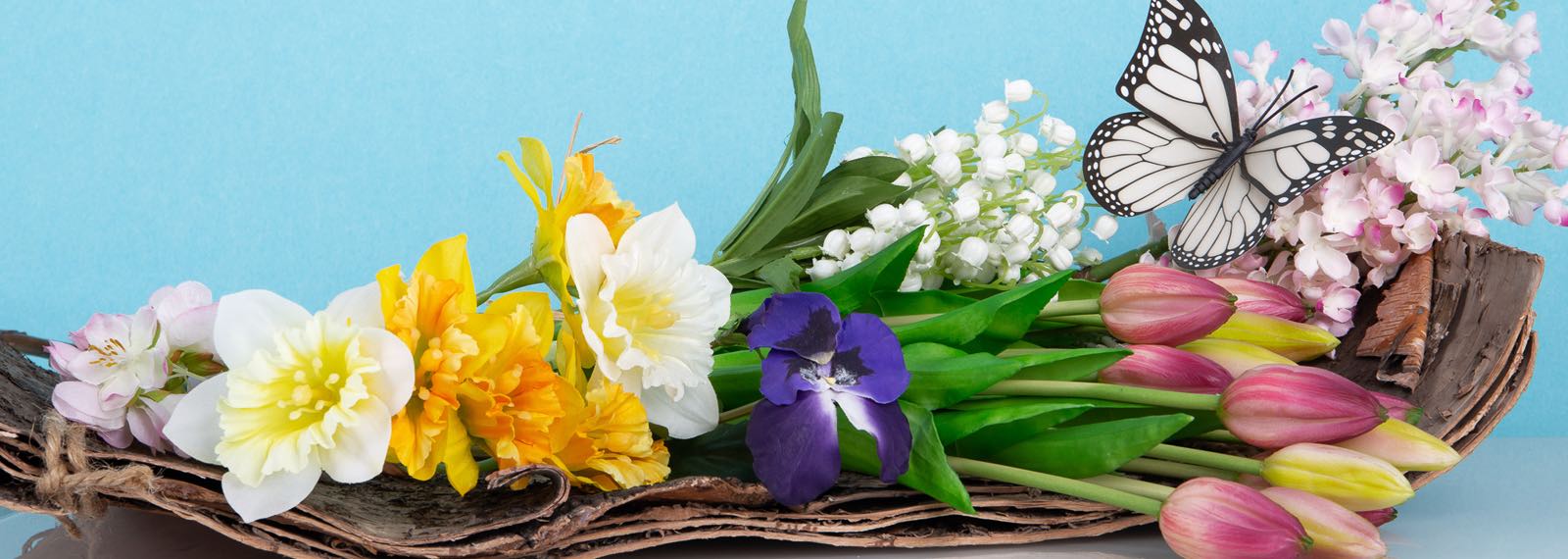 todas las flores de primavera