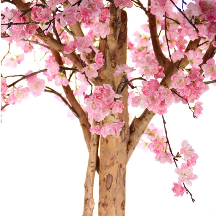 Árboles de primavera