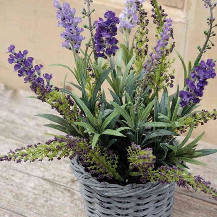 Arreglos florales de verano