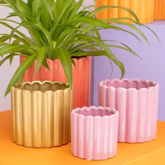 Macetas de verano