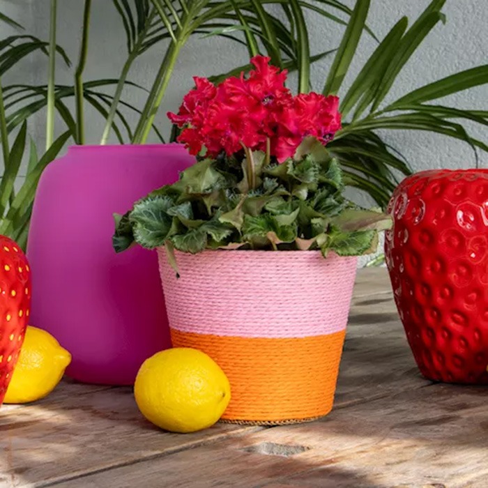 Cestas para plantas de verano
