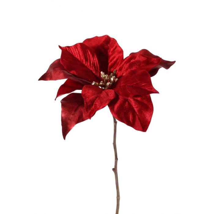 Flor de Pascua