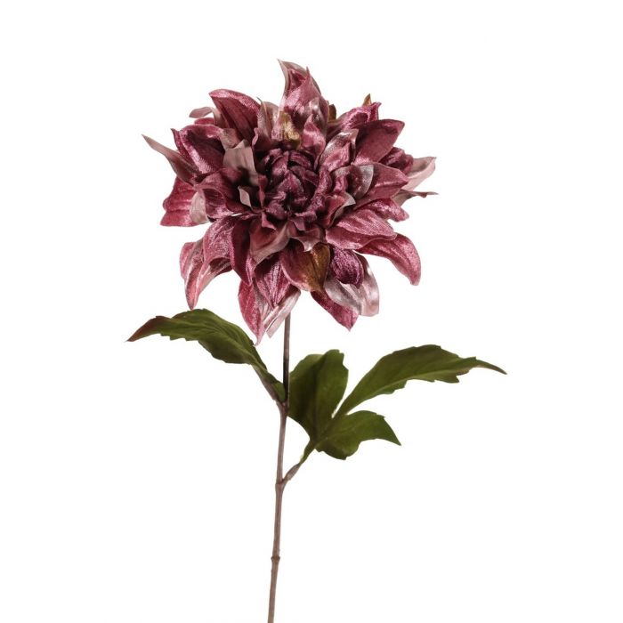 Dalias